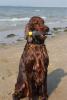 0-0130-norman_flaschenfund_meer.jpg