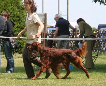 0-0109-lauf6881photogr-norman_.jpg