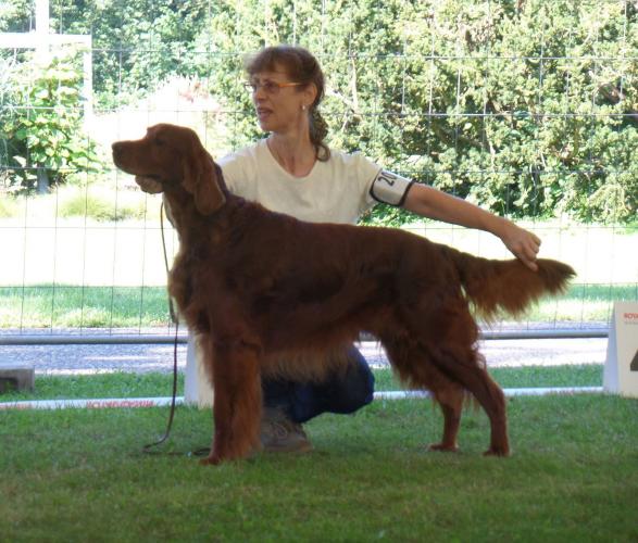 160807-norman_cacib_ludwigshafen-v2.jpg