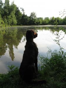 img_3105-beobachten_am_wasser.jpg