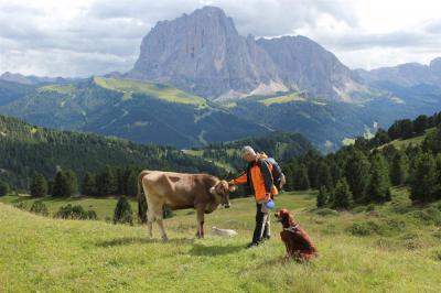 0-img_0197-norman_sdtirol3.jpg
