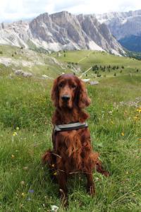 0-img_0197-norman_sdtirol5.jpg