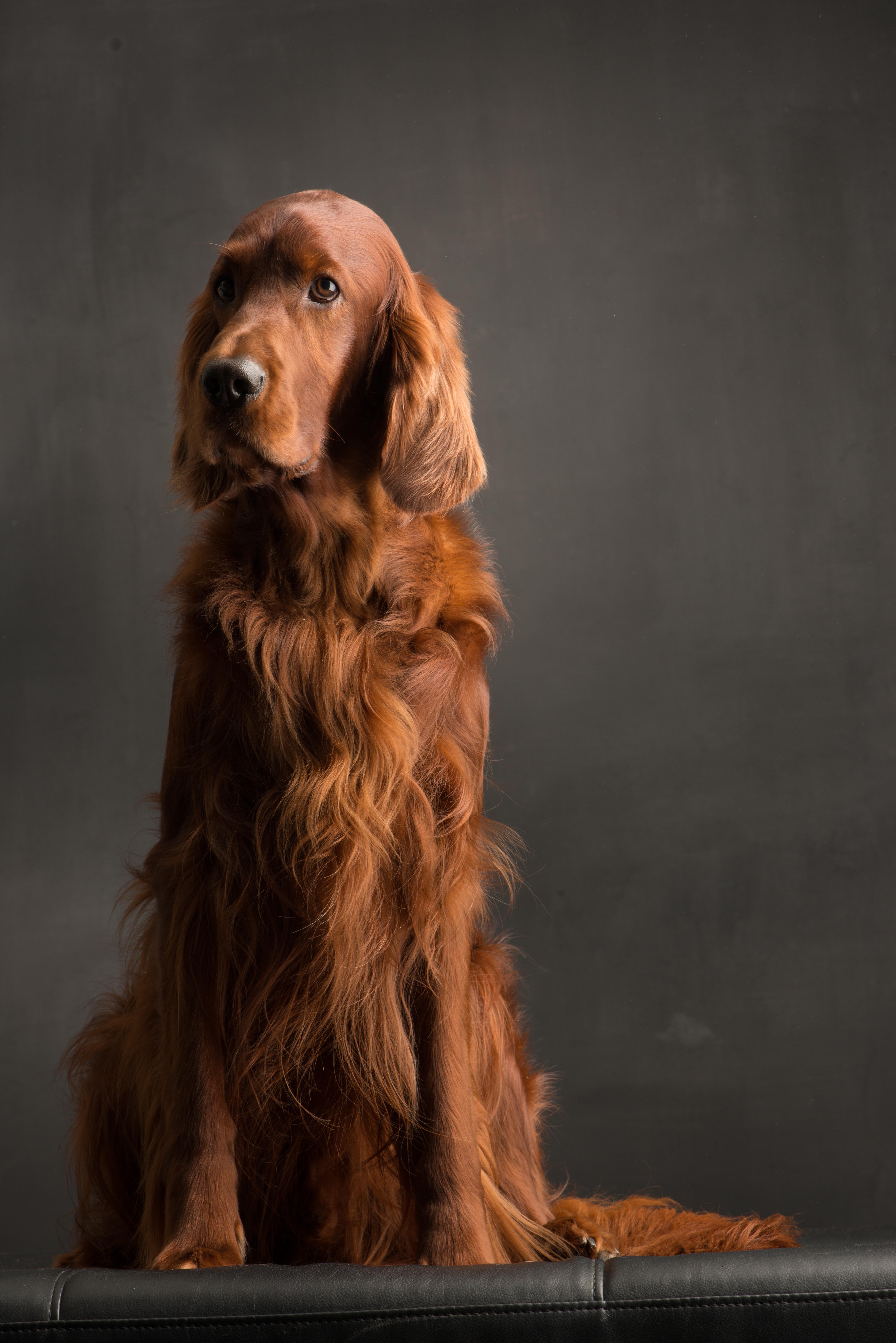 Norman Fotoshooting