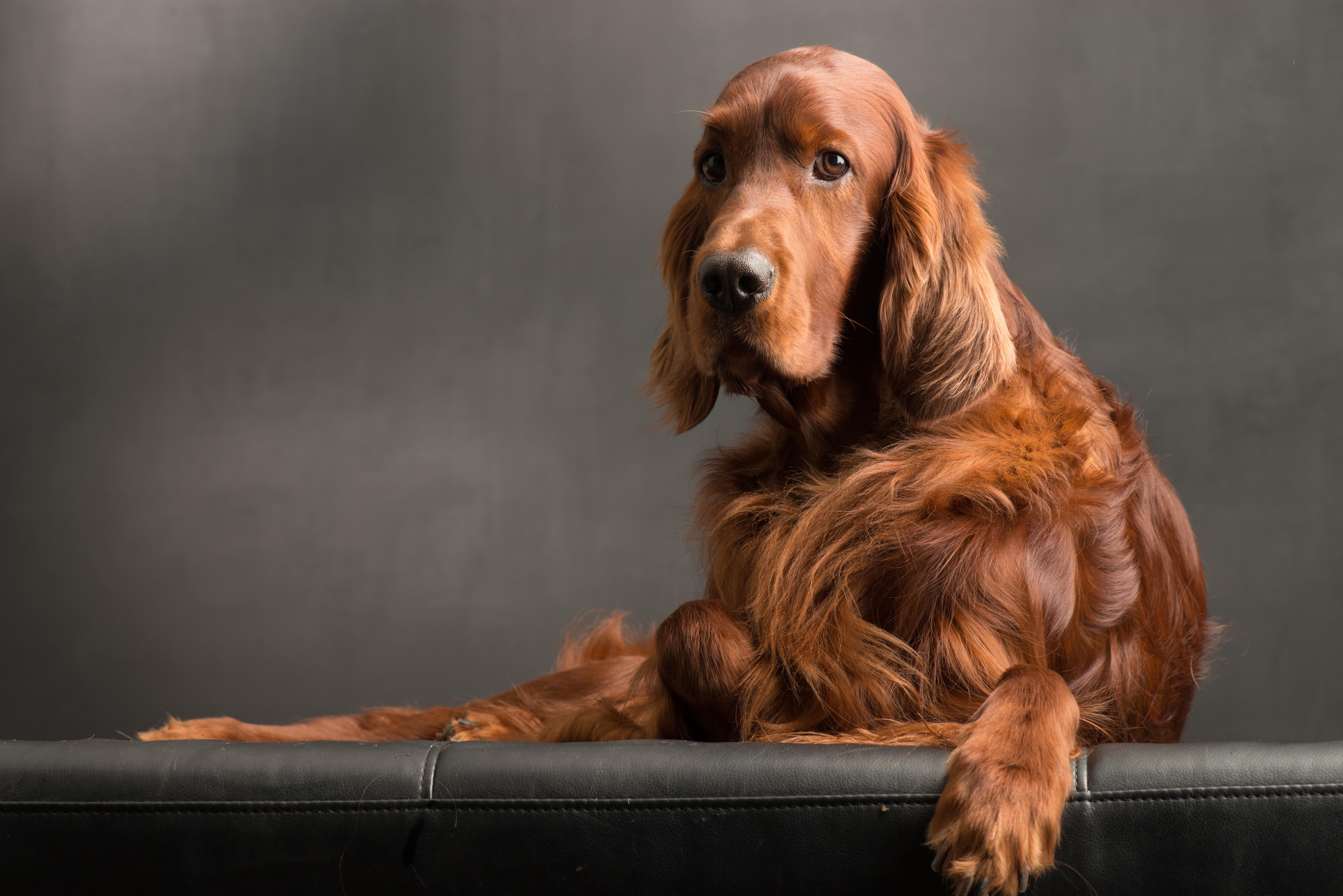 Norman Fotoshooting