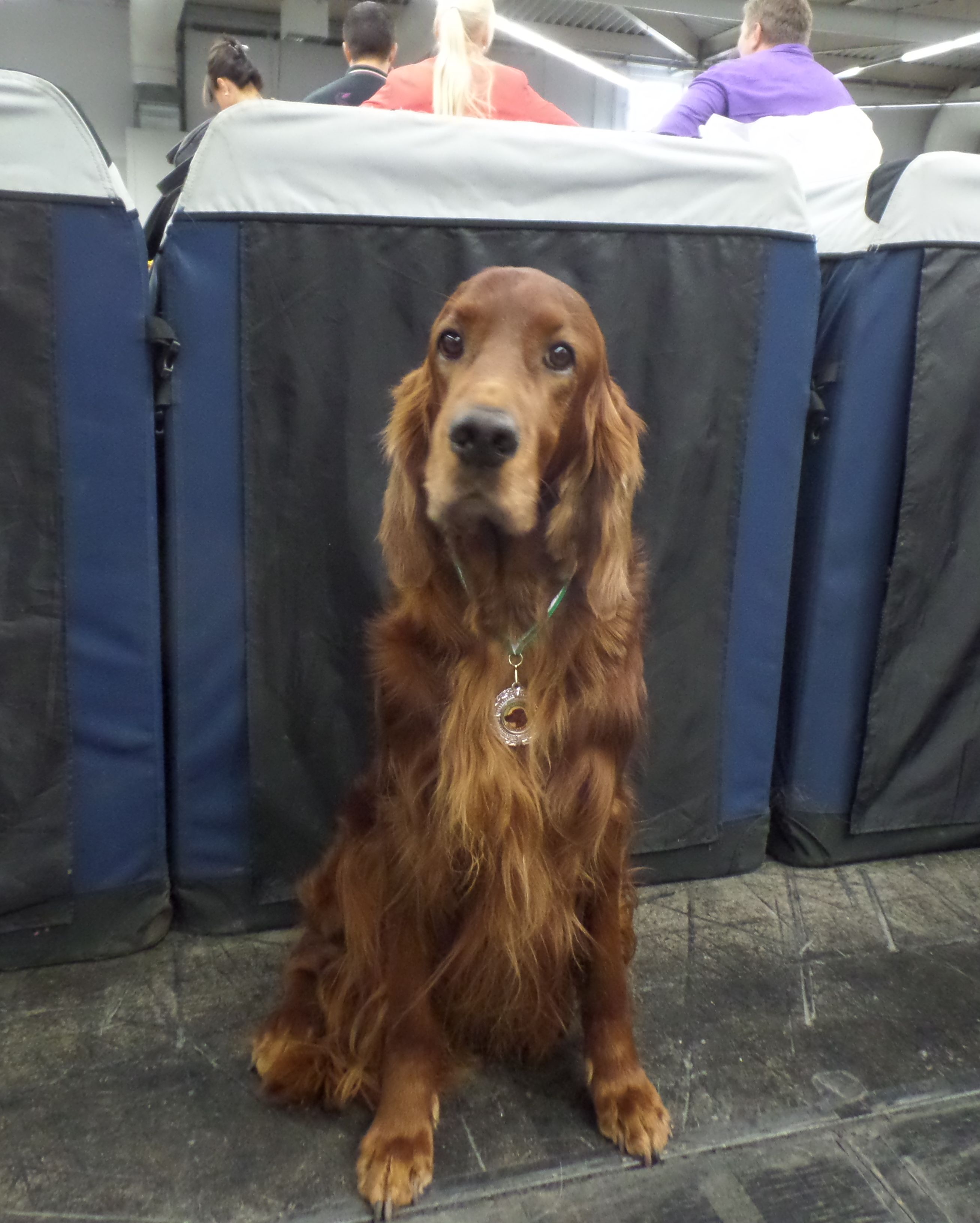 Norman Fotoshooting